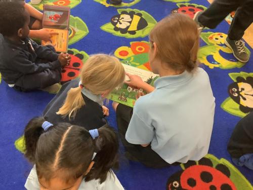 Reading